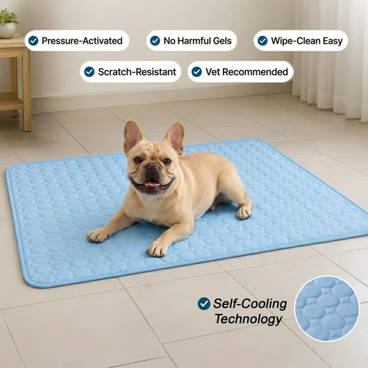 Athenisa Cooling Mat