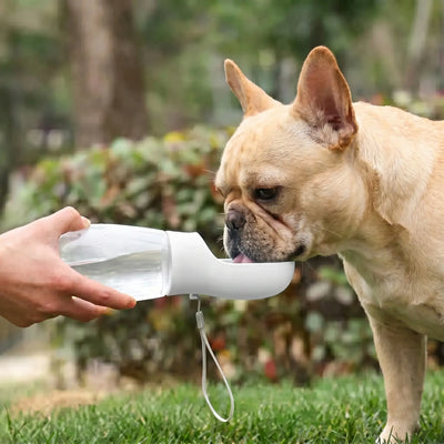 Athenisa Dog Water Bottle