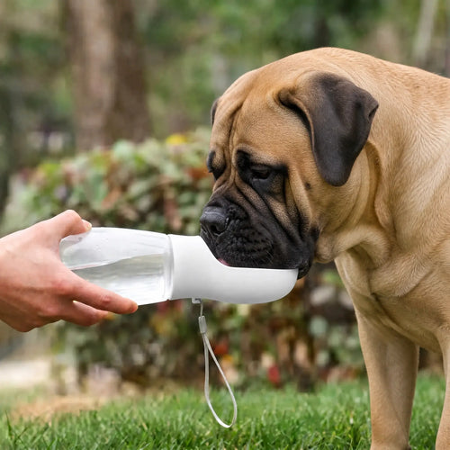 Athenisa Bullmastiff Water Bottle