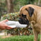 Athenisa Bullmastiff Water Bottle