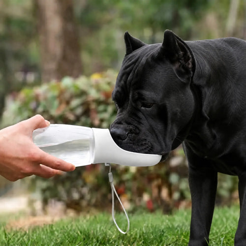 Athenisa Cane Corso Water Bottle