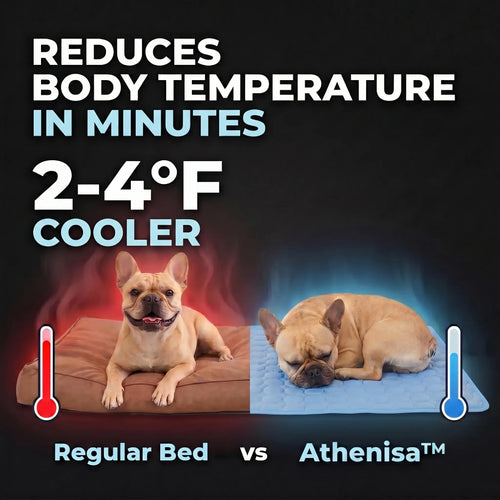 Athenisa Cooling Mat