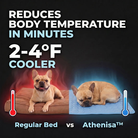 Athenisa Cooling Mat