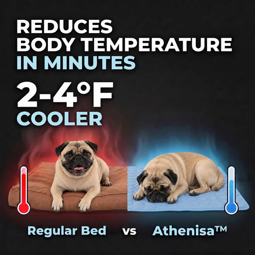 Athenisa Pug Cooling Mat