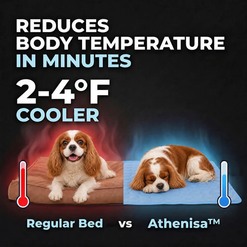 Athenisa Cavalier Cooling Mat