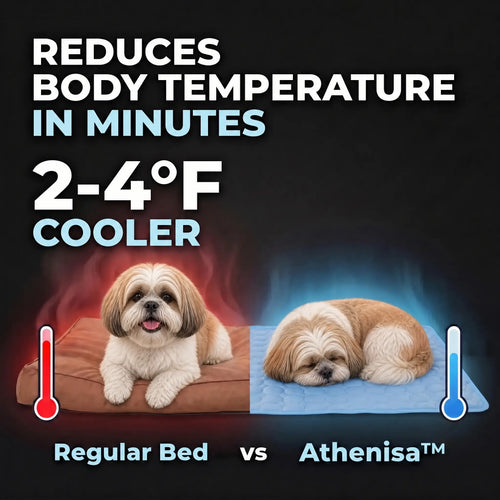 Athenisa Shih Tzu Cooling Mat