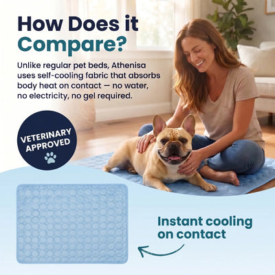Athenisa Cooling Mat