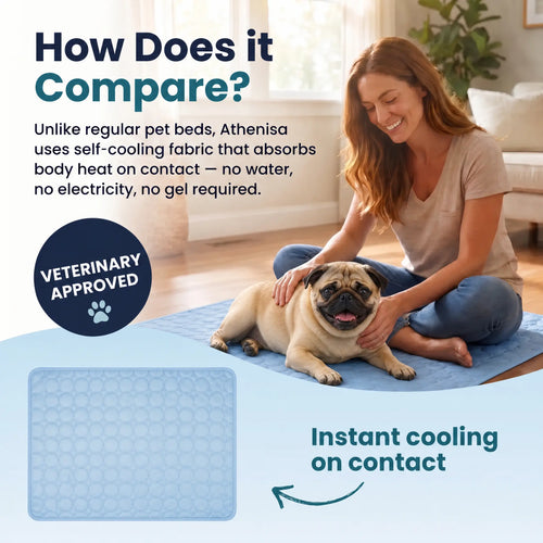 Athenisa Pug Cooling Mat