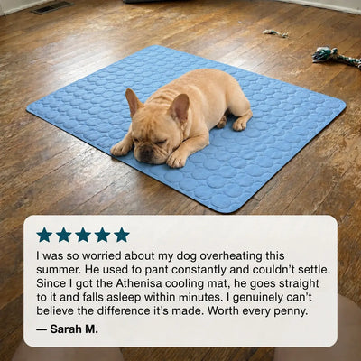 Athenisa Cooling Mat