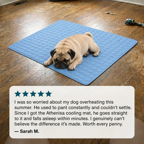 Athenisa Pug Cooling Mat