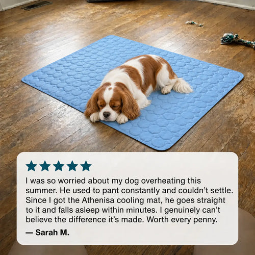 Athenisa Cavalier Cooling Mat