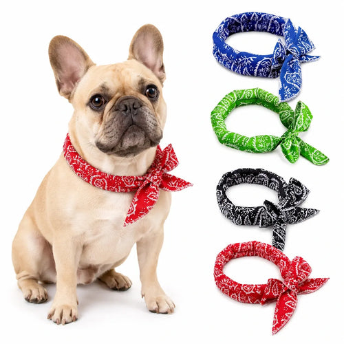 Cooling Bandana Pack