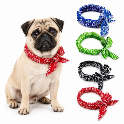 Pug Cooling Bandana Pack