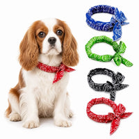 Cavalier Cooling Bandana Pack