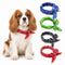 Cavalier Cooling Bandana Pack