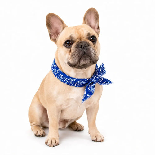 Cooling Bandana Pack