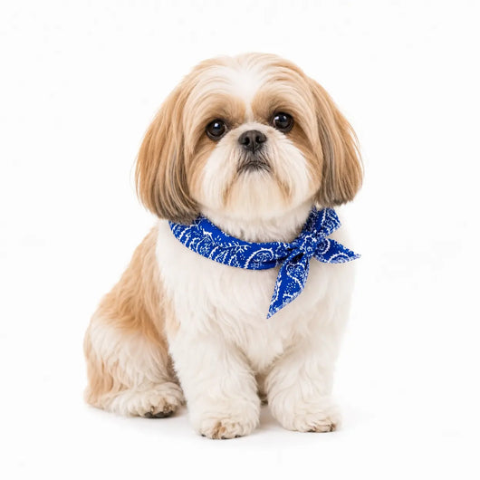 Shih Tzu Cooling Bandana Pack