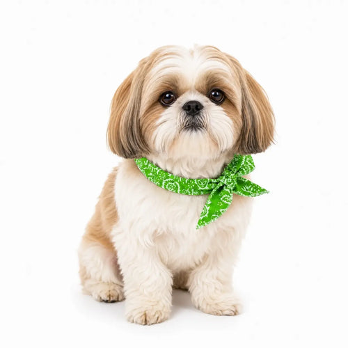 Shih Tzu Cooling Bandana Pack