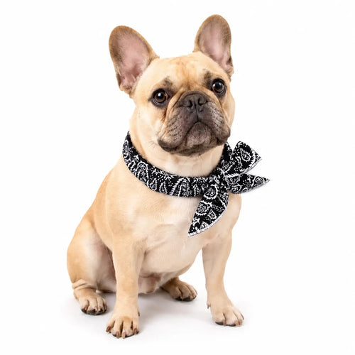 Cooling Bandana Pack