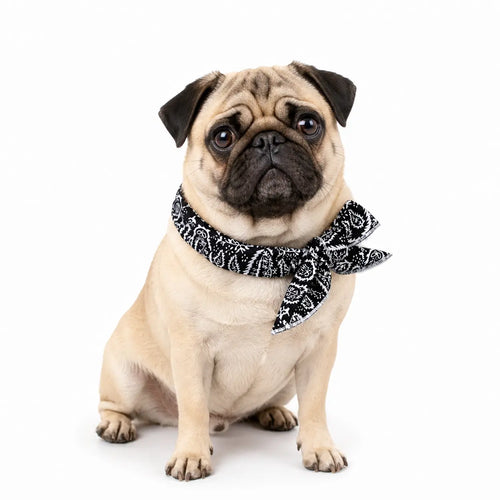 Pug Cooling Bandana Pack