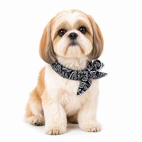 Shih Tzu Cooling Bandana Pack