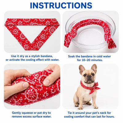 Cooling Bandana Pack