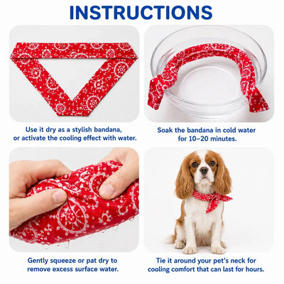Cavalier Cooling Bandana Pack