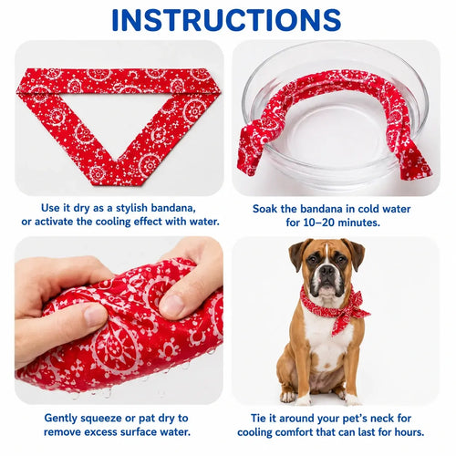 Boxer Cooling Bandana Pack
