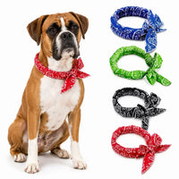 Boxer Cooling Bandana Pack