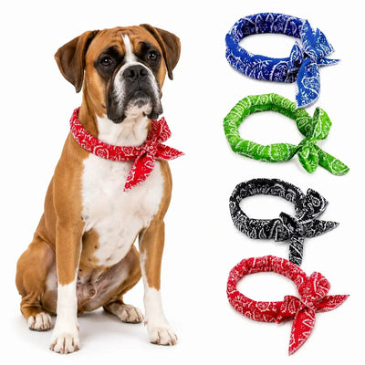 Boxer Cooling Bandana Pack