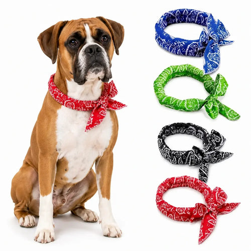 Boxer Cooling Bandana Pack