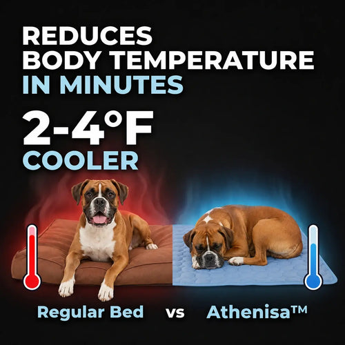 Athenisa Boxer Cooling Mat