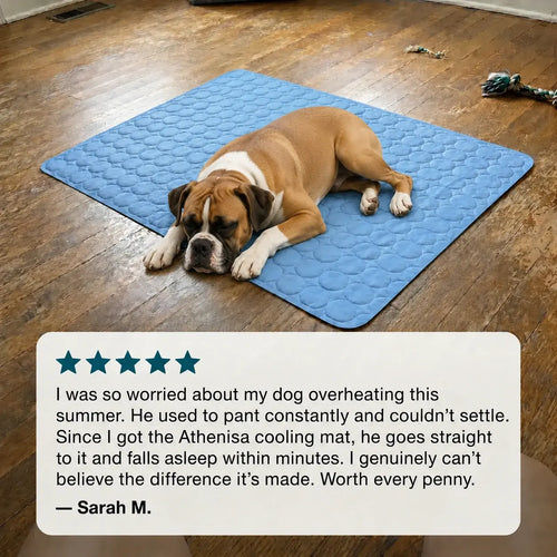 Athenisa Boxer Cooling Mat
