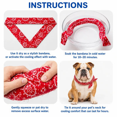 English Bulldog Cooling Bandana Pack