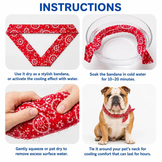 English Bulldog Cooling Bandana Pack