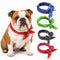 English Bulldog Cooling Bandana Pack