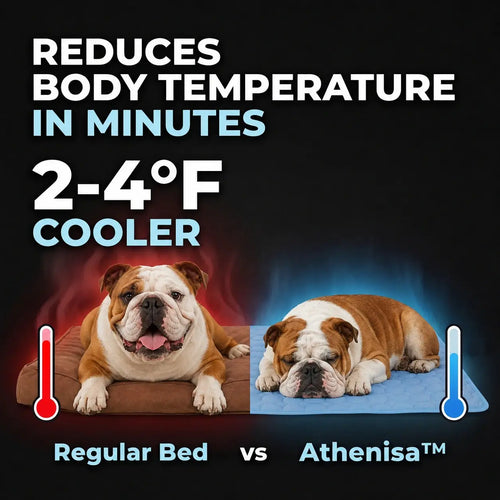 Athenisa English Bulldog Cooling Mat