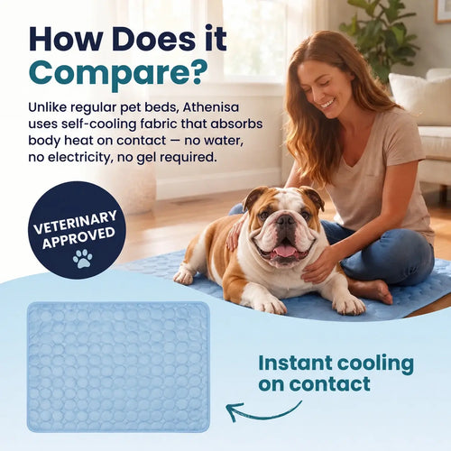 Athenisa English Bulldog Cooling Mat