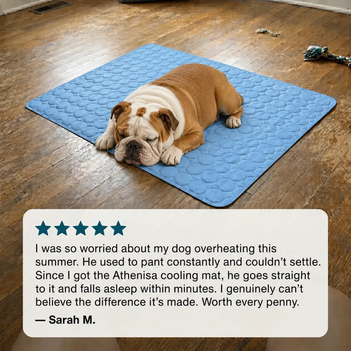 Athenisa English Bulldog Cooling Mat