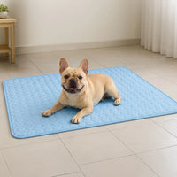 Athenisa Cooling Mat