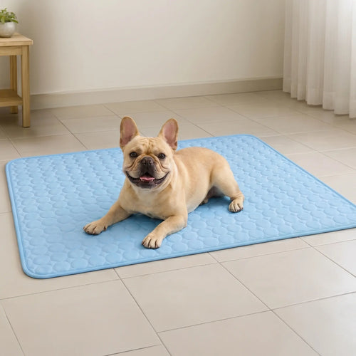Athenisa Cooling Mat