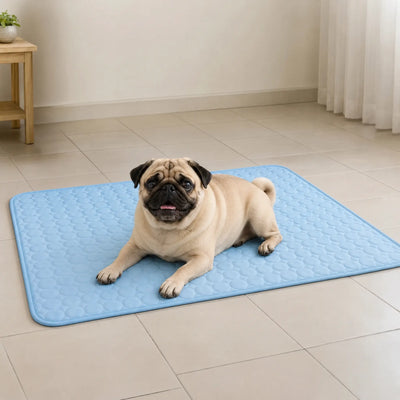 Athenisa Pug Cooling Mat