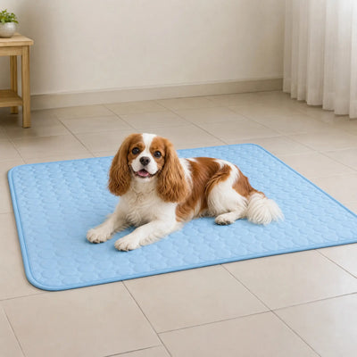 Athenisa Cavalier Cooling Mat