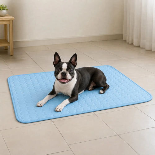 Athenisa Boston Terrier Cooling Mat