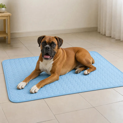 Athenisa Boxer Cooling Mat