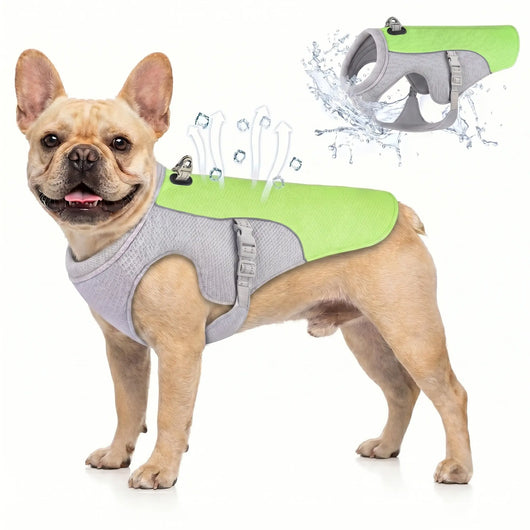 Athenisa Cooling Vest