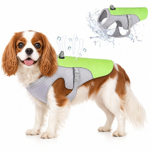 Athenisa Cavalier Cooling Vest
