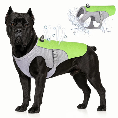 Athenisa Cane Corso Cooling Vest