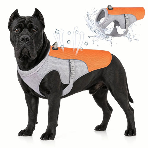 Athenisa Cane Corso Cooling Vest