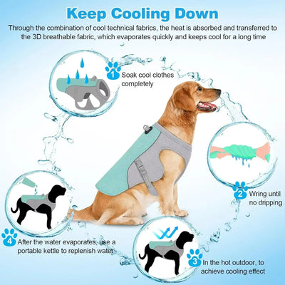 Cooling Vest